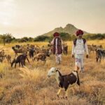 3 treks secrets dans l'Inde du Nord