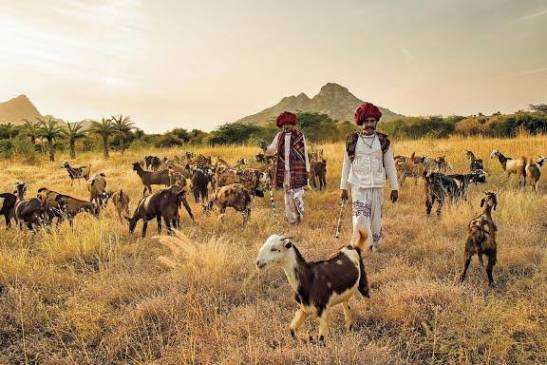 3 treks secrets dans l'Inde du Nord