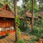 5 Meilleures résidences dans les arbres de l’Inde pour un plan de vacances de rêve