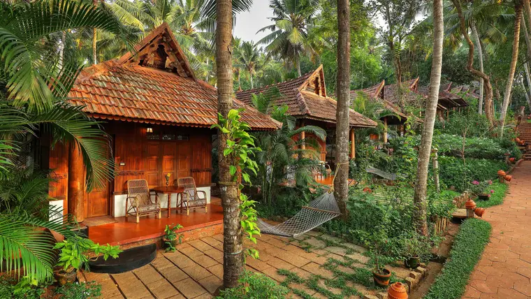 5 Meilleures résidences dans les arbres de l’Inde pour un plan de vacances de rêve