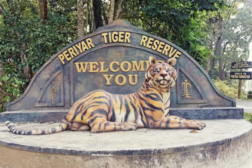 Apercevoir un tigre dans la réserve de Periyar