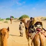 Guide Voyage Inde - Quand partir en Inde