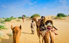 Guide Voyage Inde - Quand partir en Inde
