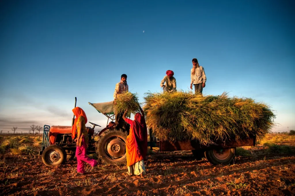 Inde du Sud ou Inde du Nord : où aller pour un premier voyage en Inde ?
