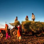Inde du Sud ou Inde du Nord : où aller pour un premier voyage en Inde ?
