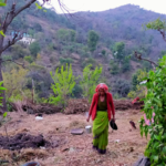 Pour fuir la chaleur et la densité des villes indiennes, allez à Mussoorie!