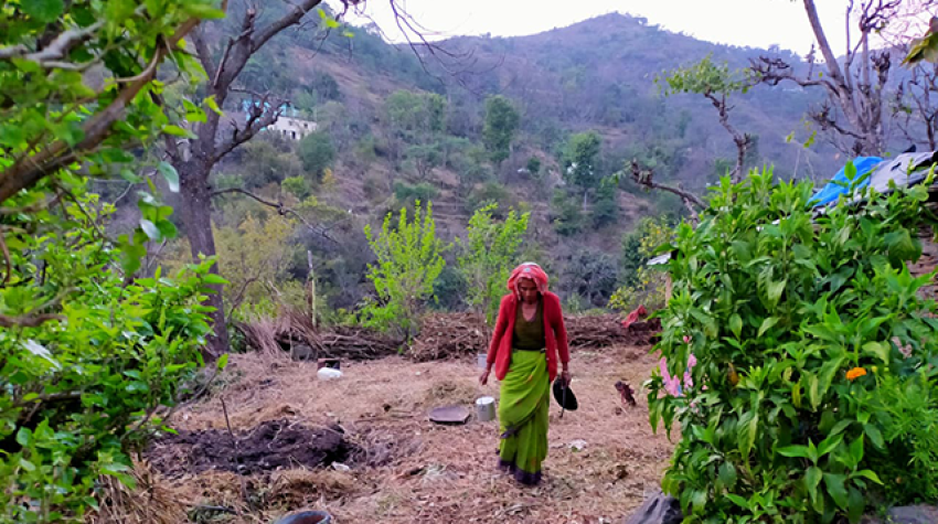 Pour fuir la chaleur et la densité des villes indiennes, allez à Mussoorie!
