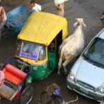 Prix circuit Rajasthan avec chauffeur privé : budget et conseils