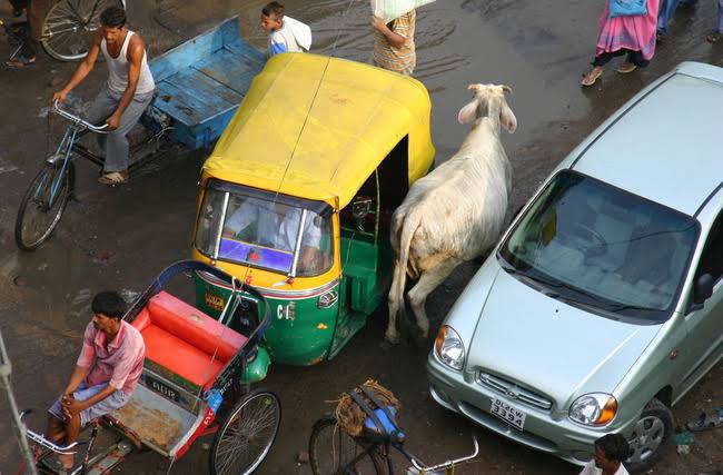 Prix circuit Rajasthan avec chauffeur privé : budget et conseils