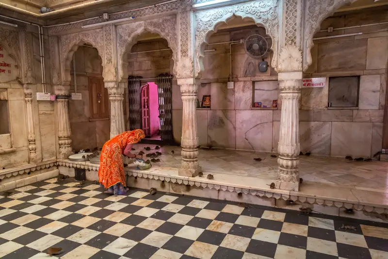Temple des rats en Inde : à la découverte du sanctuaire de Karni Mata !