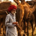 Votre agence de voyage en Inde
