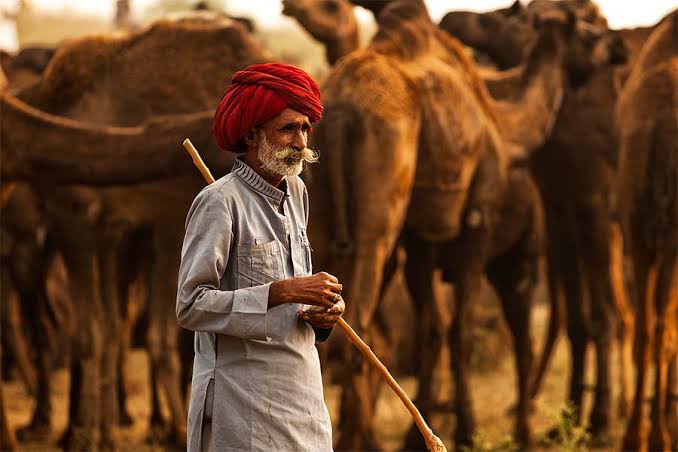 Votre agence de voyage en Inde