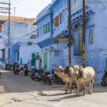 Voyage en Inde : guide complet pour organiser votre premier séjour