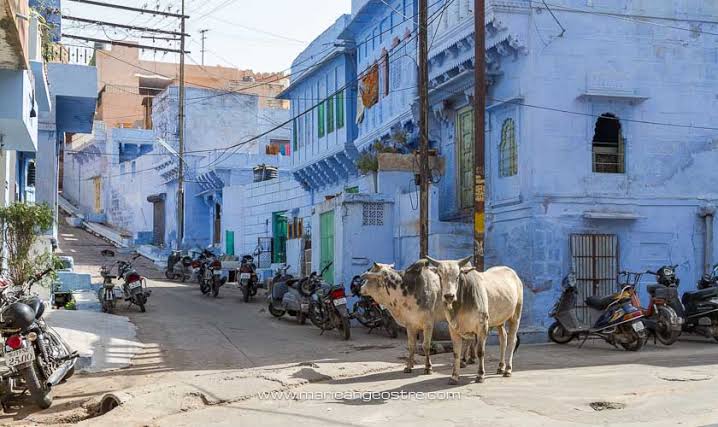 Voyage en Inde : guide complet pour organiser votre premier séjour