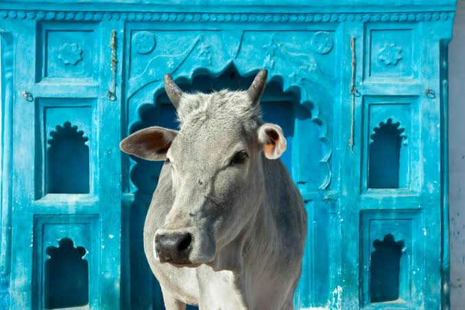Voyager en Inde en toute sécurité : conseils essentiels