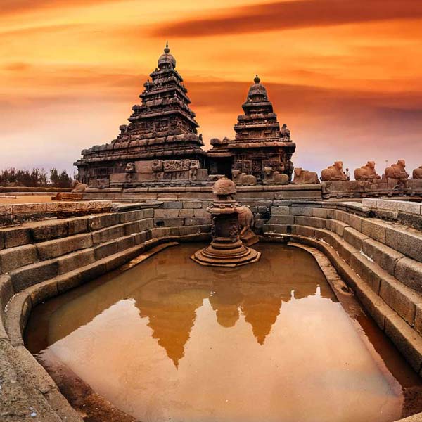 Voyage Tamilnadou et Kerala